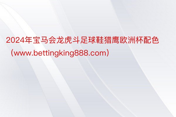 2024年宝马会龙虎斗足球鞋猎鹰欧洲杯配色（www.bettingking888.com）